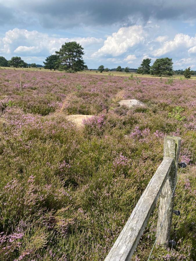 Holiday In Der Lueneburger Heide Bispingen Exteriör bild