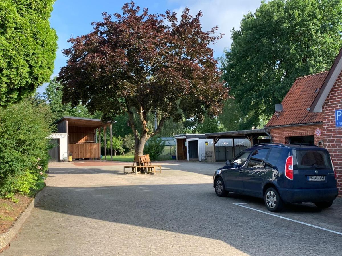 Holiday In Der Lueneburger Heide Bispingen Exteriör bild
